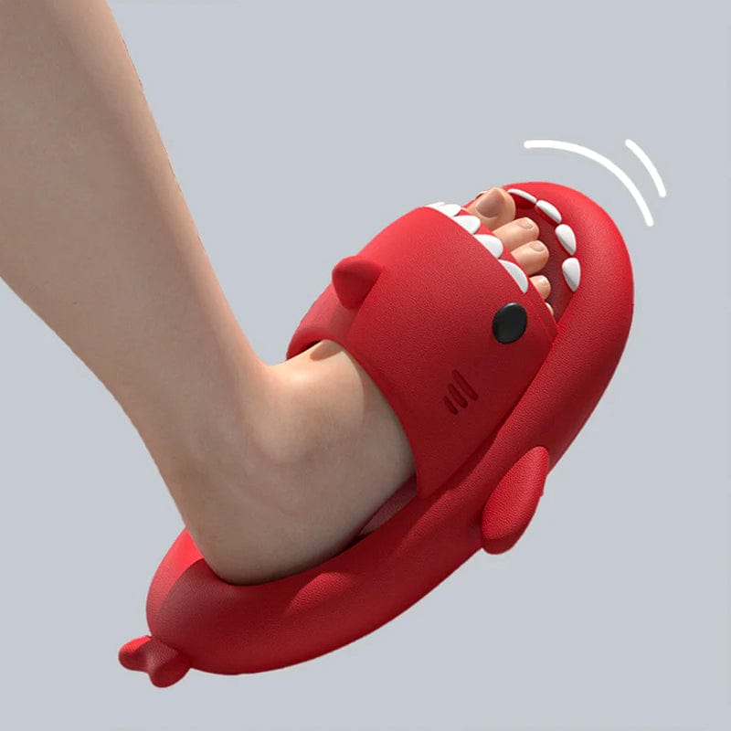 SharkSlides slippers