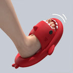 SharkSlides slippers