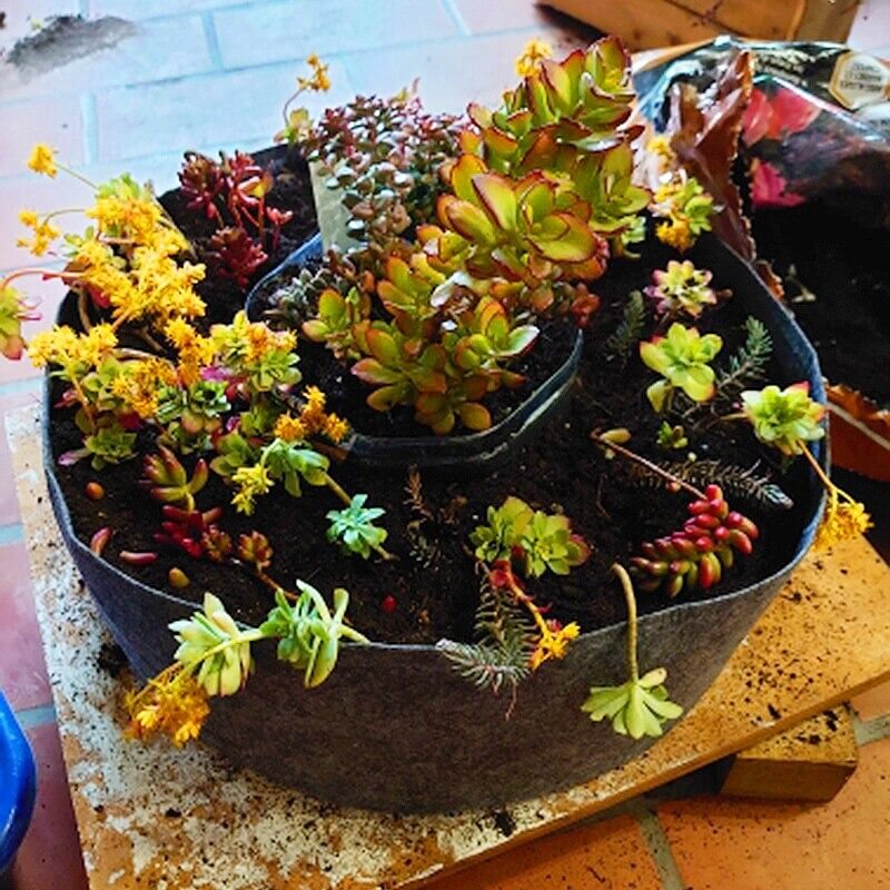 Planter kweekzak bak
