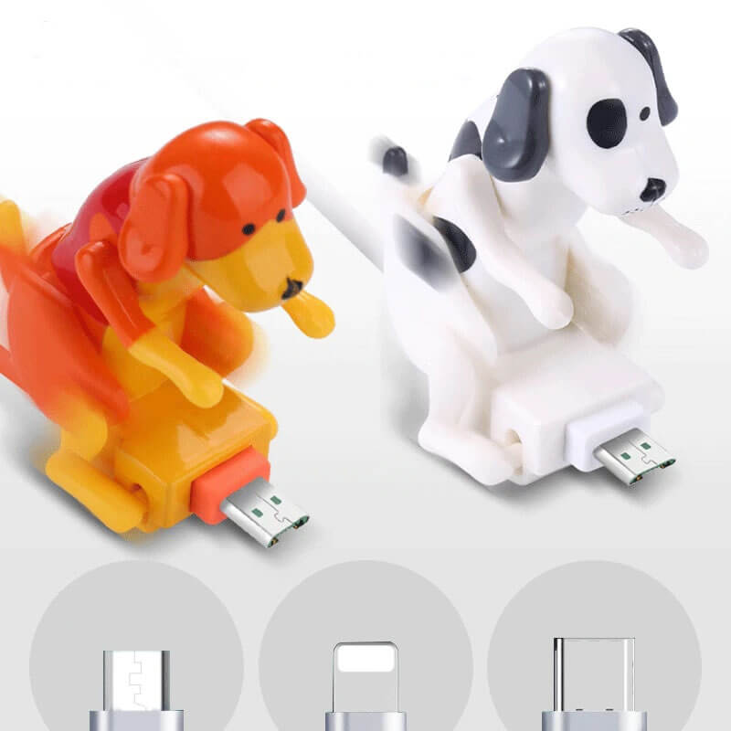 Hond oplaad kabel