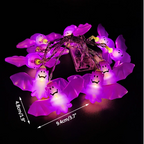 LED light string ornament️