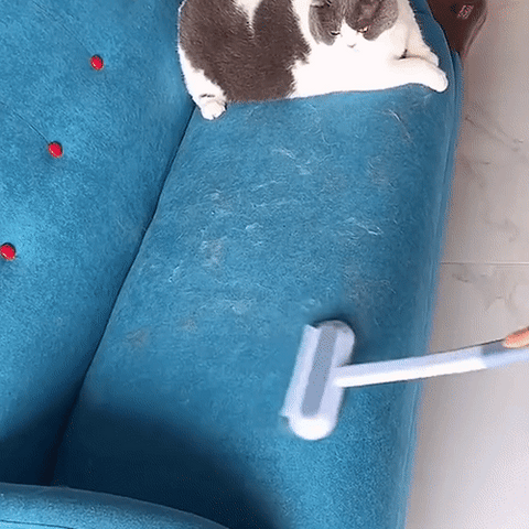 3-in-1 huisdierhaar verwijderaar