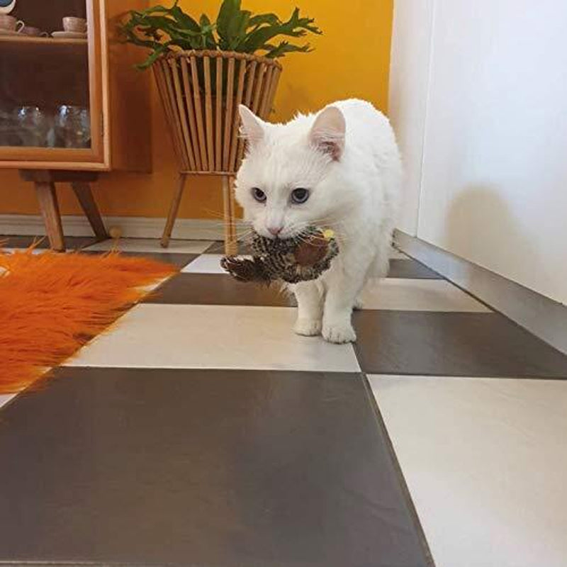 Interactief kattenspeeltje — afbeelding 45
