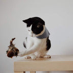 Interactief kattenspeeltje — afbeelding 46