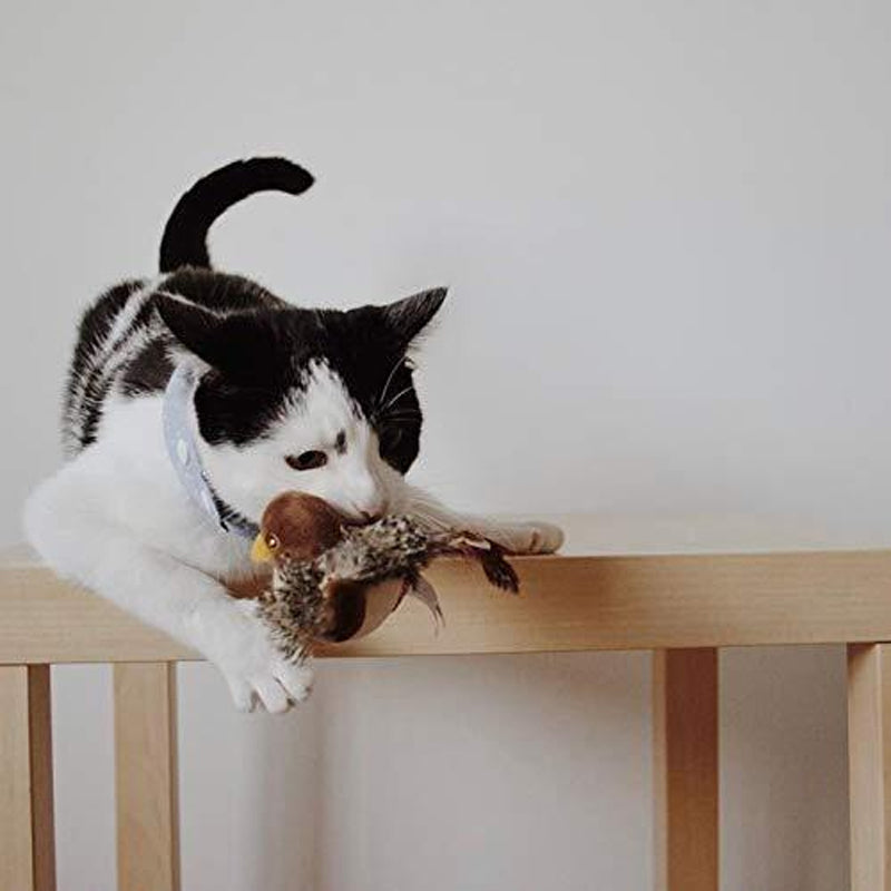 Interactief kattenspeeltje