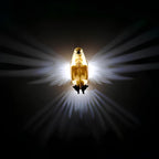 Verlichte vleugels wandlamp