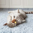 Interactief kattenspeeltje
