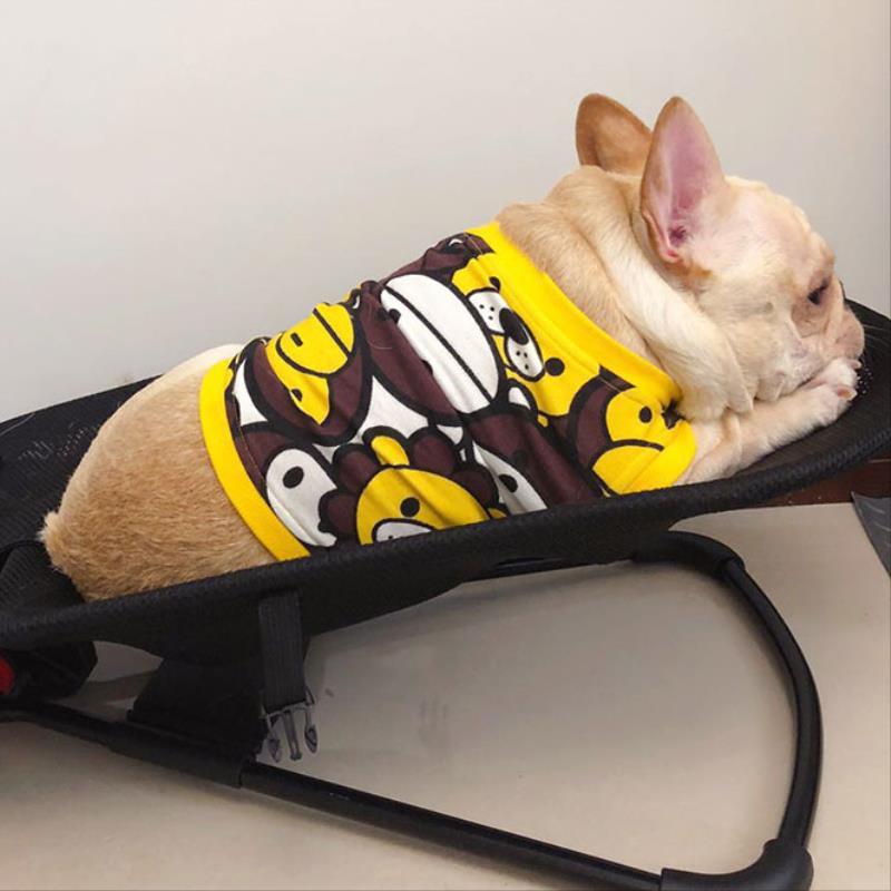 Schommelstoel voor honden