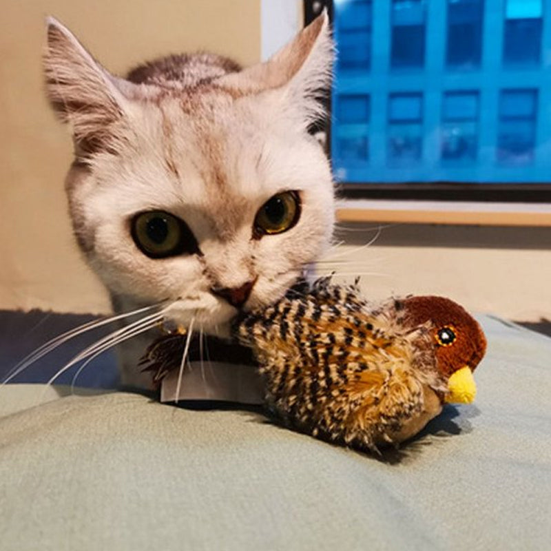 Interactief kattenspeeltje — afbeelding 49