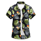 Derk plus size shirt