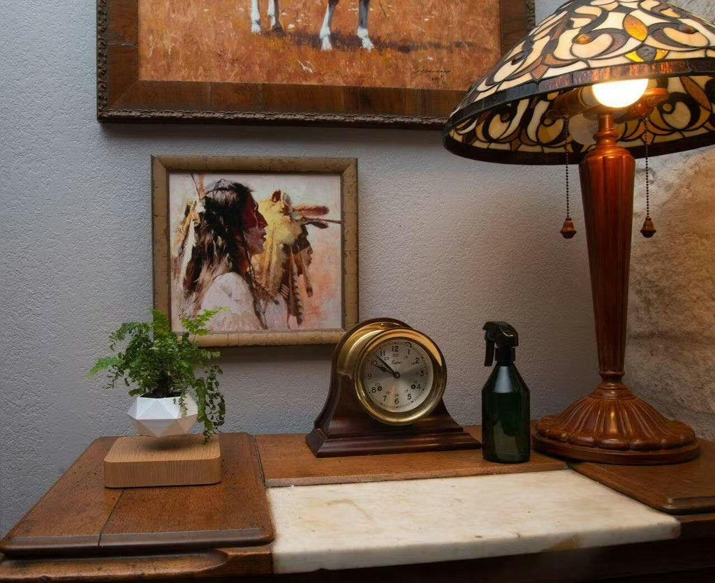 Zwevende planthouder met magnetische levitatie