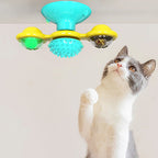 Katten windmolen krab- en speelstation