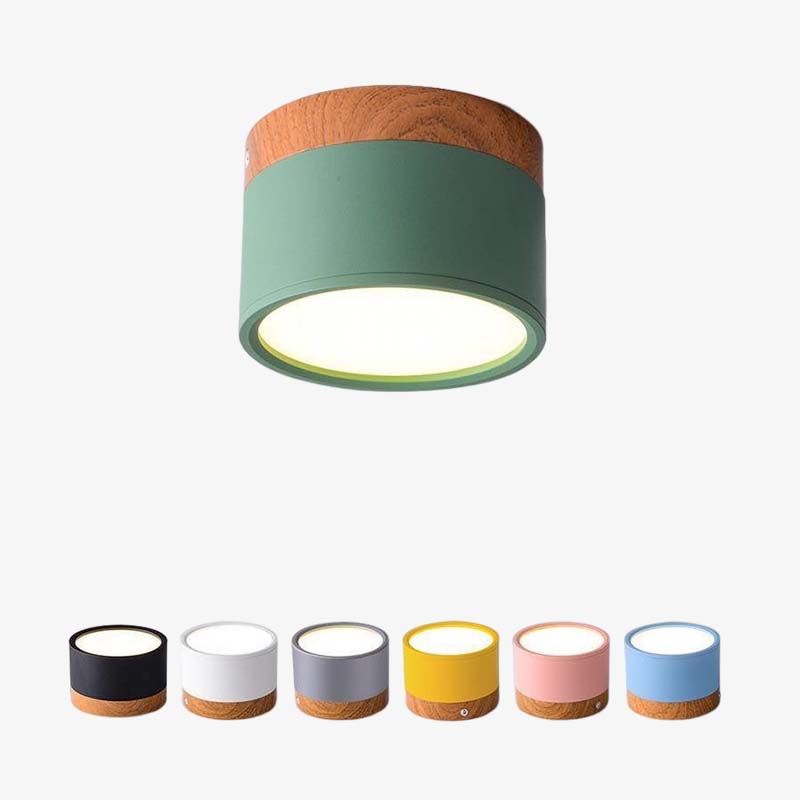 Morandi stijl moderne LED plafondlamp