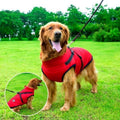 BuddyPro