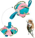 Kauwbal voor honden