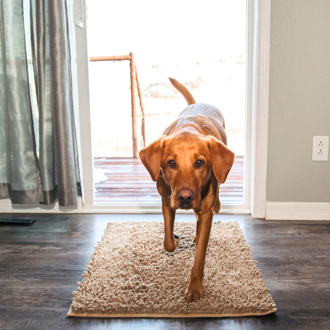 Honden schoonloopmat