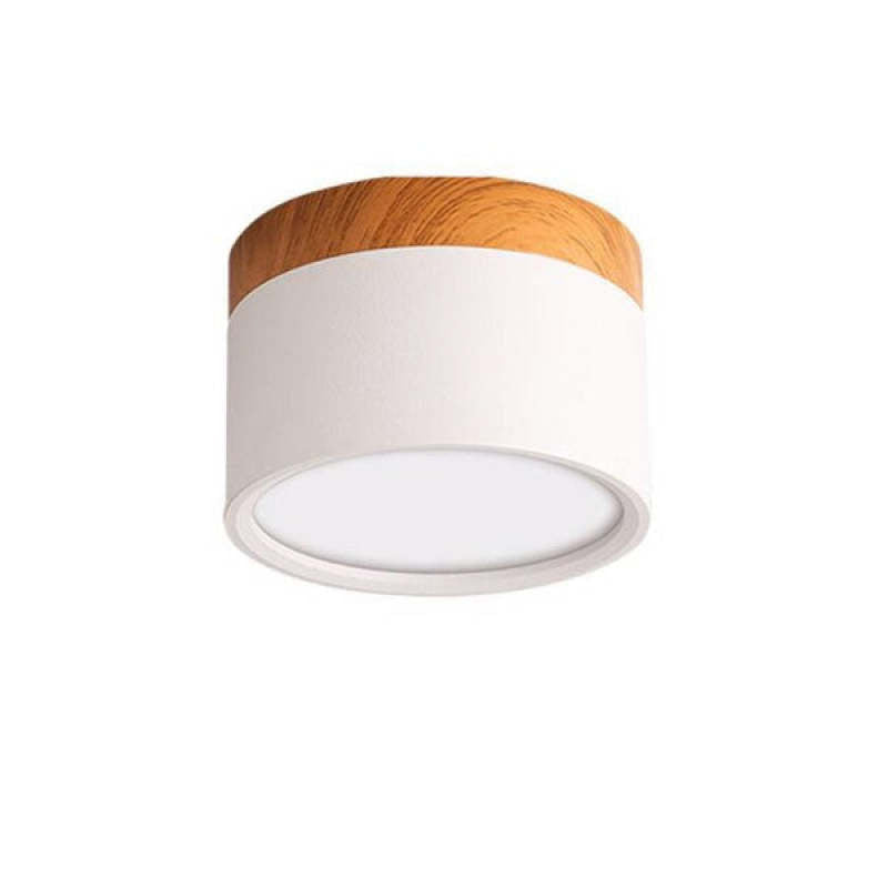 Morandi stijl moderne LED plafondlamp