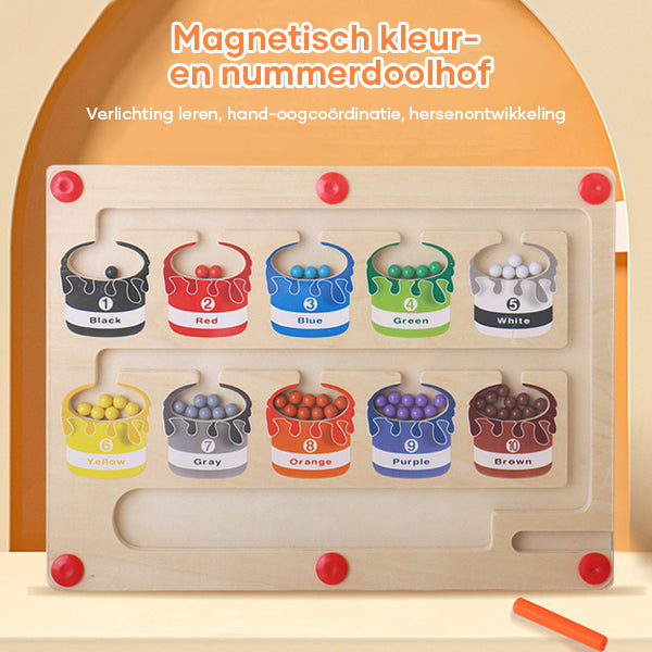 Magnetisch leerdoolhof voor kleur en getalherkenning