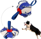Kauwbal voor honden