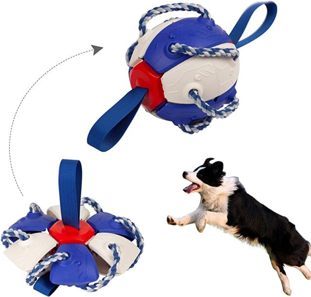 Kauwbal voor honden