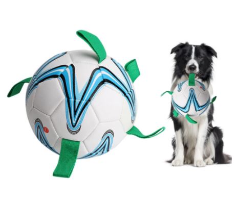 Voetbal voor honden
