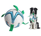 Voetbal voor honden