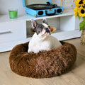 Fluffy calming bed