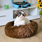 Fluffy calming bed