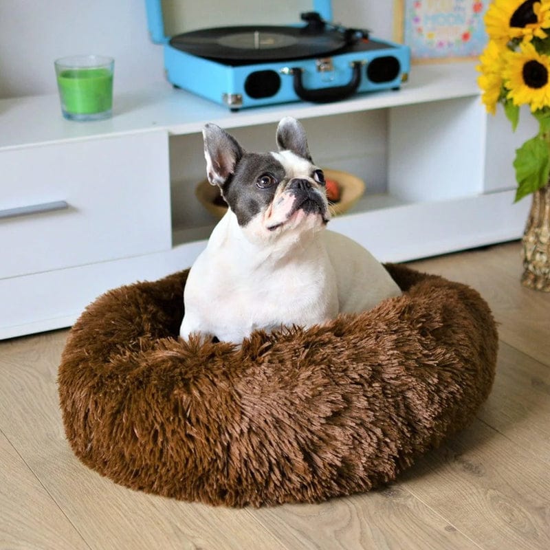 Fluffy calming bed