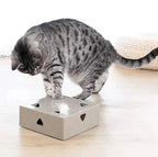 Speelgoedbox voor katten