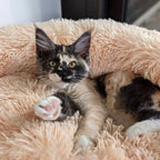Kattenbed CalmingBed van 70 cm