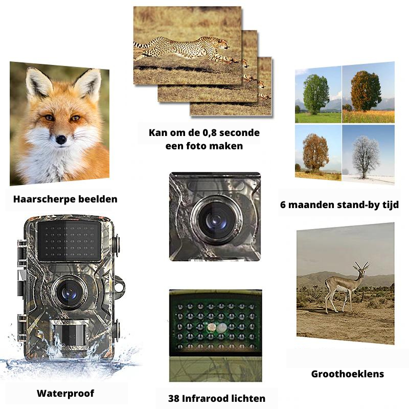 Outdoor mini trail camera – infrarood, nachtzicht, 4K, HD