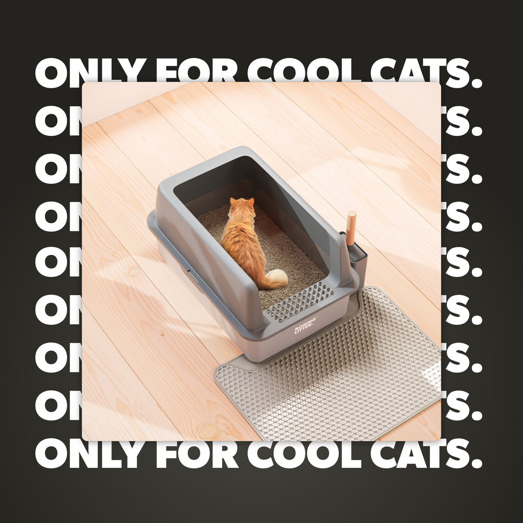 Roestvrijstalen kattenbak