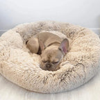 Fluffy calming bed