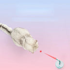 Kattenspeeltje met laser