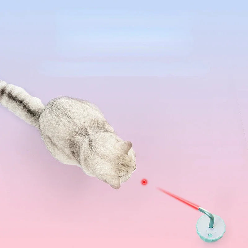 Kattenspeeltje met laser