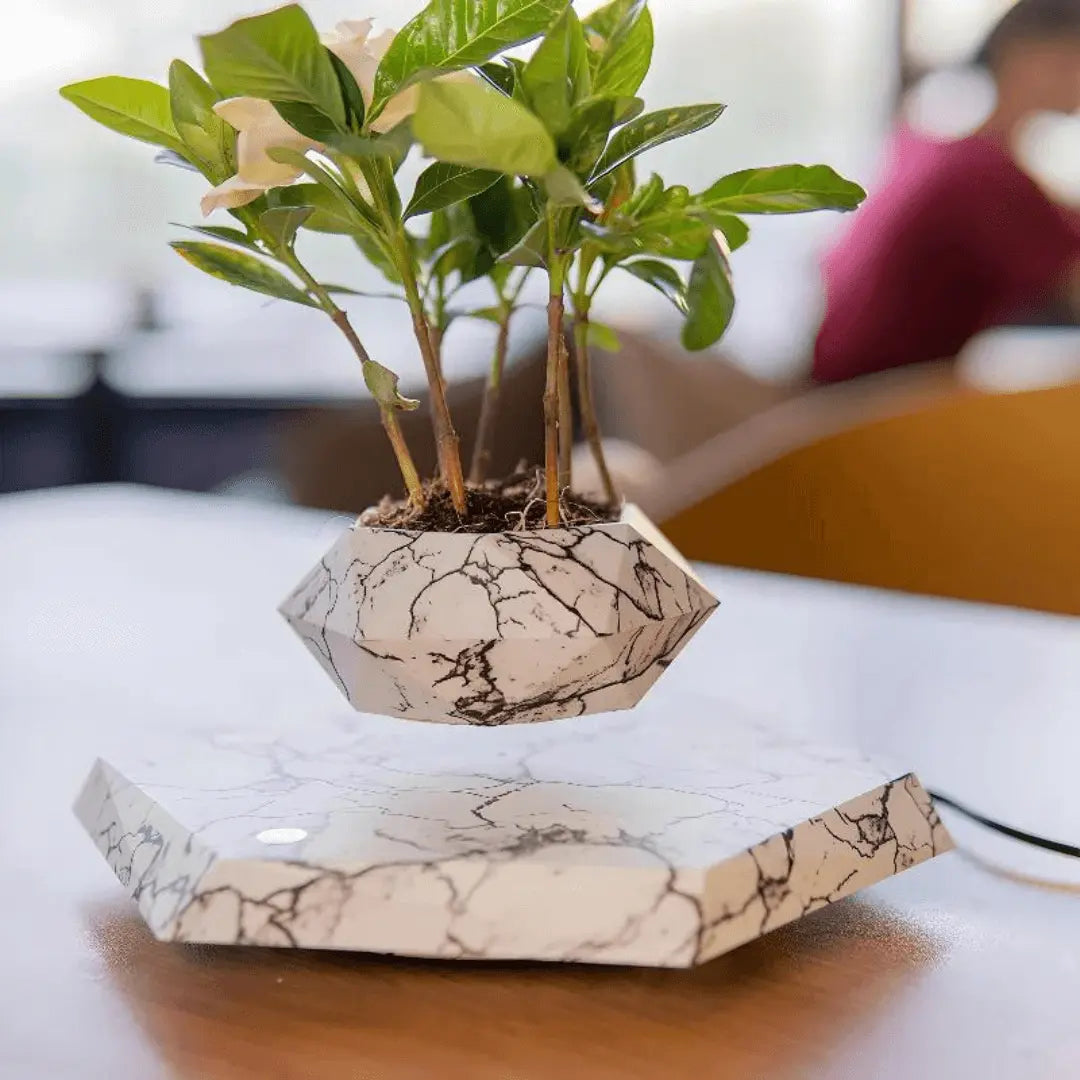 Zwevende planthouder met magnetische levitatie