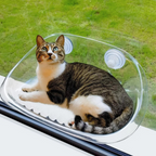 Raamvenster voor katten