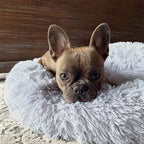 Fluffy calming bed