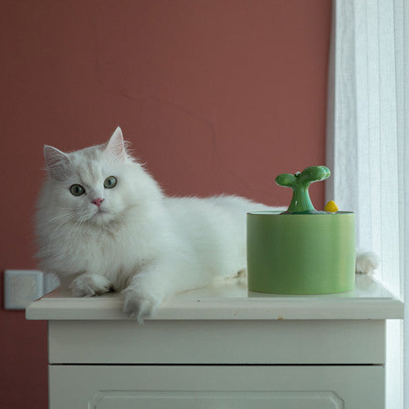 Kattenfontein