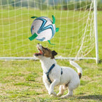 Voetbal voor honden