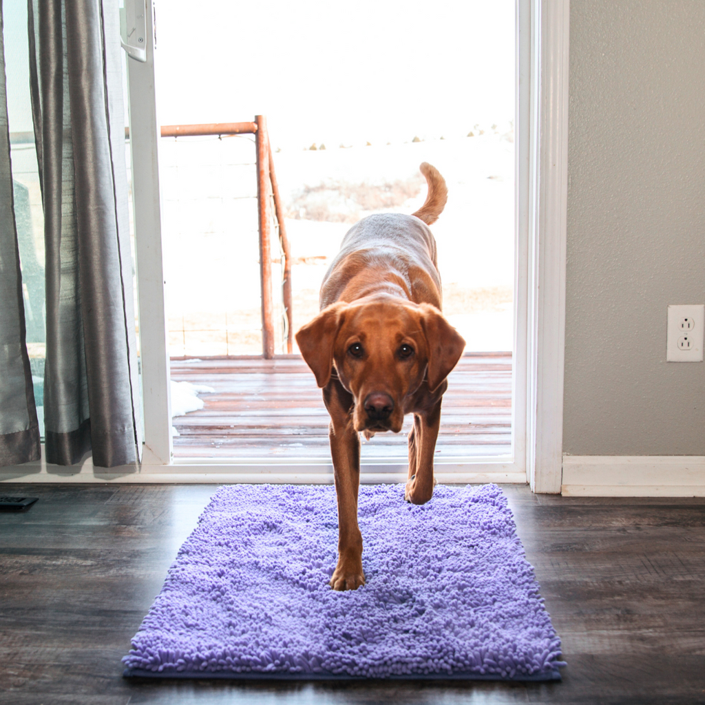 Honden schoonloopmat