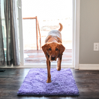 Honden schoonloopmat