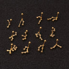 Zodiac sterrenbeeld oorbellen