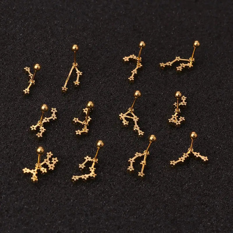 Zodiac sterrenbeeld oorbellen