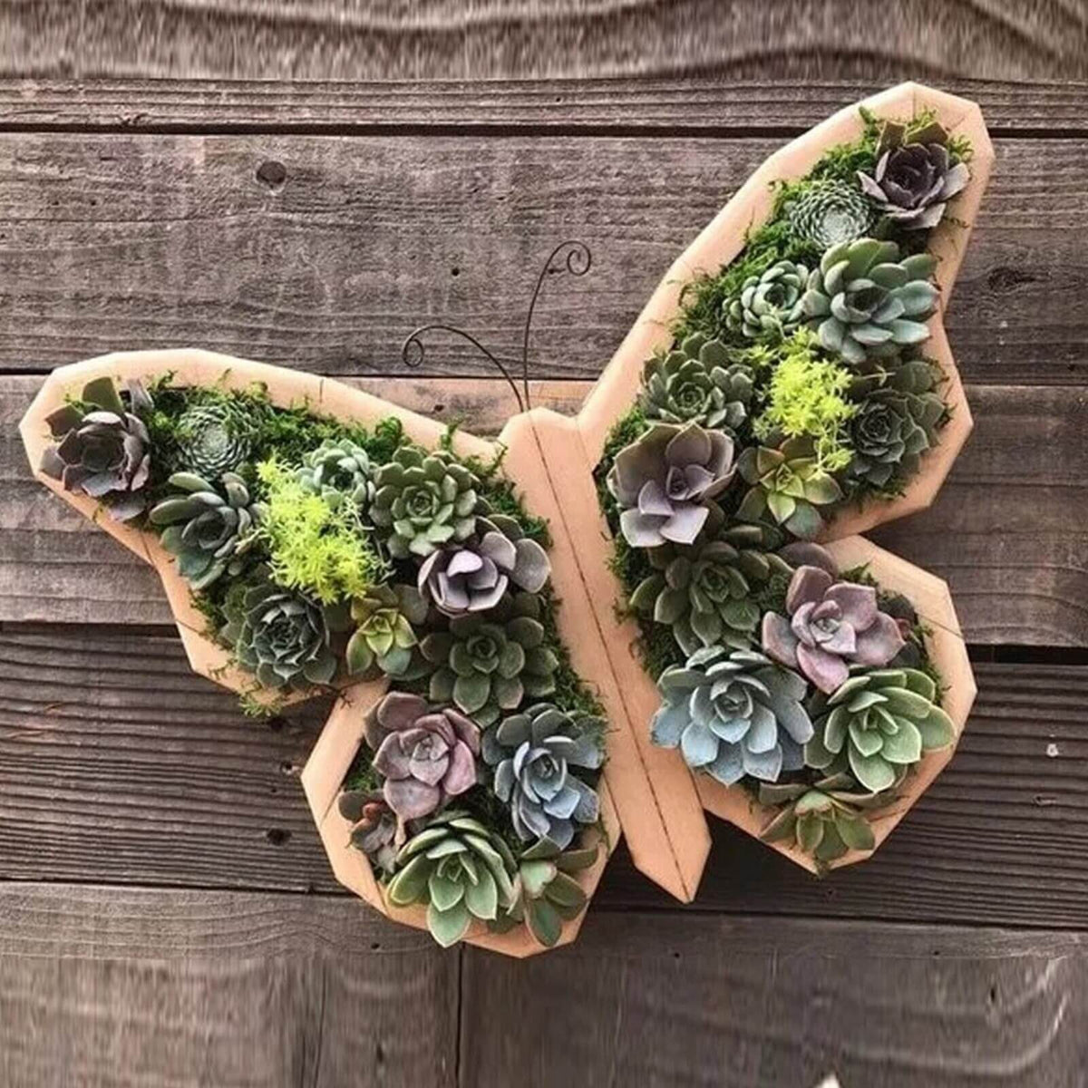Houten plantenbak