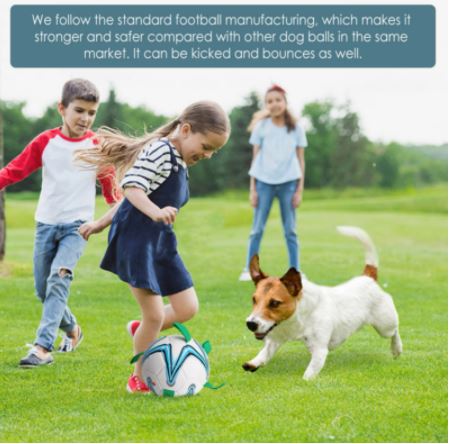 Voetbal voor honden