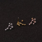 Zodiac sterrenbeeld oorbellen