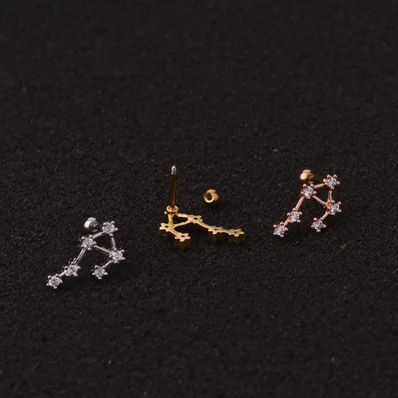 Zodiac sterrenbeeld oorbellen