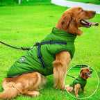 BuddyPro